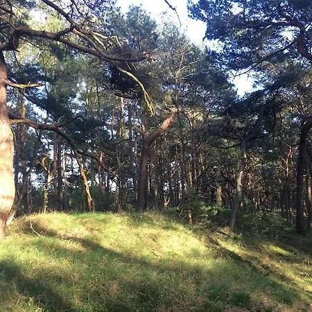 Appartamento Gemuetliche 2 Zi-fewo Mit Terrasse, Strandnaehe, Wifi *