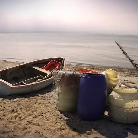 公寓 Gemuetliche 2 Zi-fewo Mit Terrasse, Strandnaehe, Wifi *